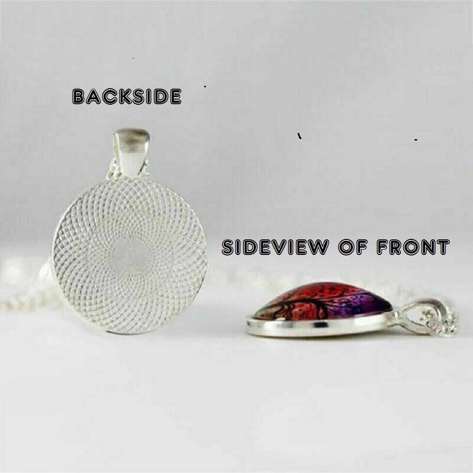 MALE FEMALE CARDINALS ON FENCE Pendant Charm On 925 Sterling Silver 20″ Necklace