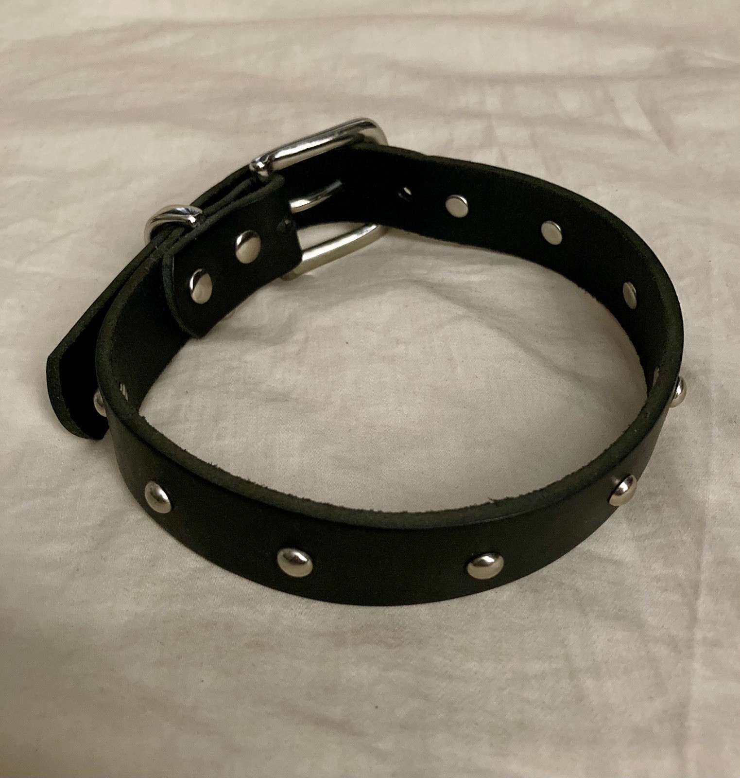 Primal Leather Black Collar Choker With Round Studs + Buckle Closure