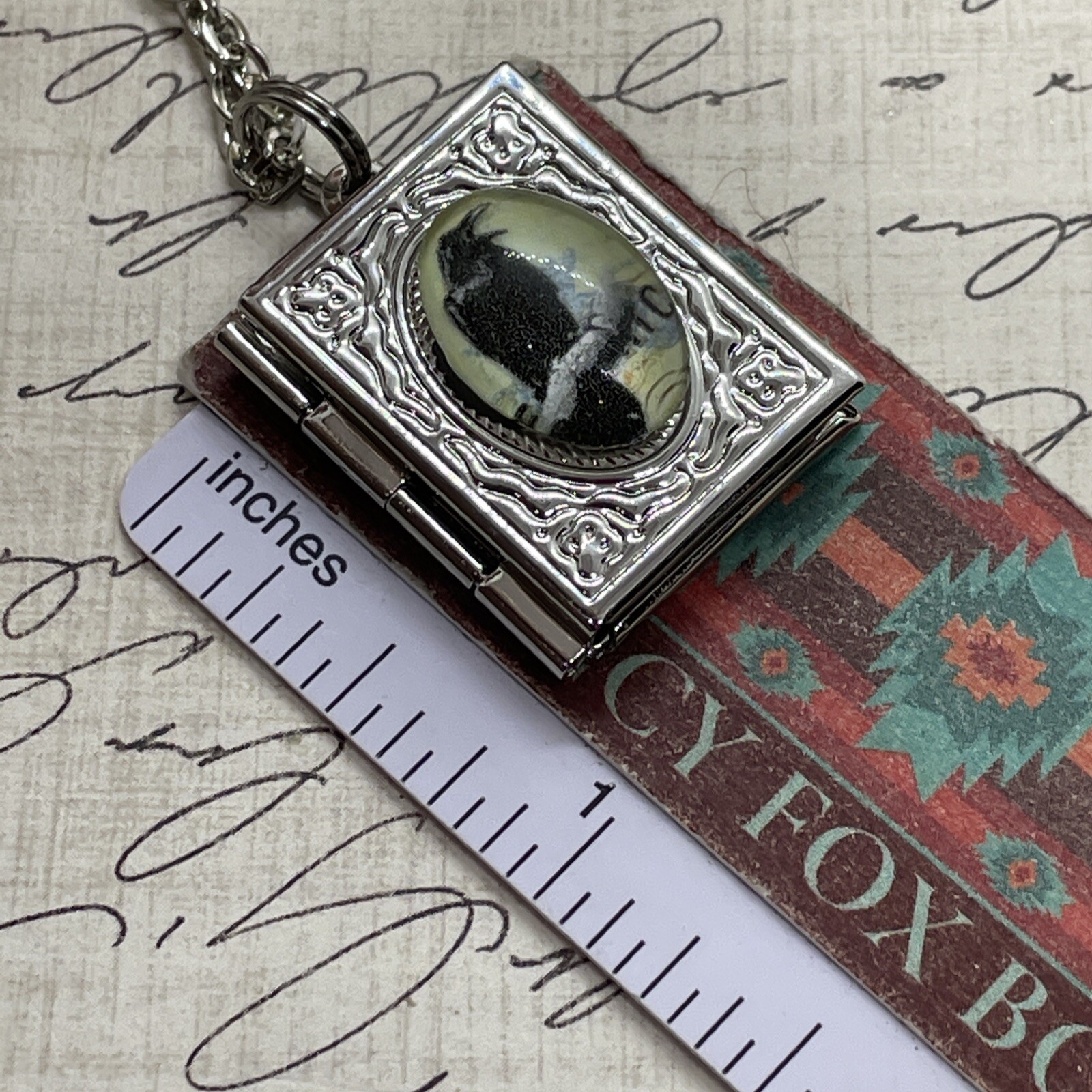 Black Gothic Raven Silver New Pendant Locket Necklace Crow Photo Book birthday