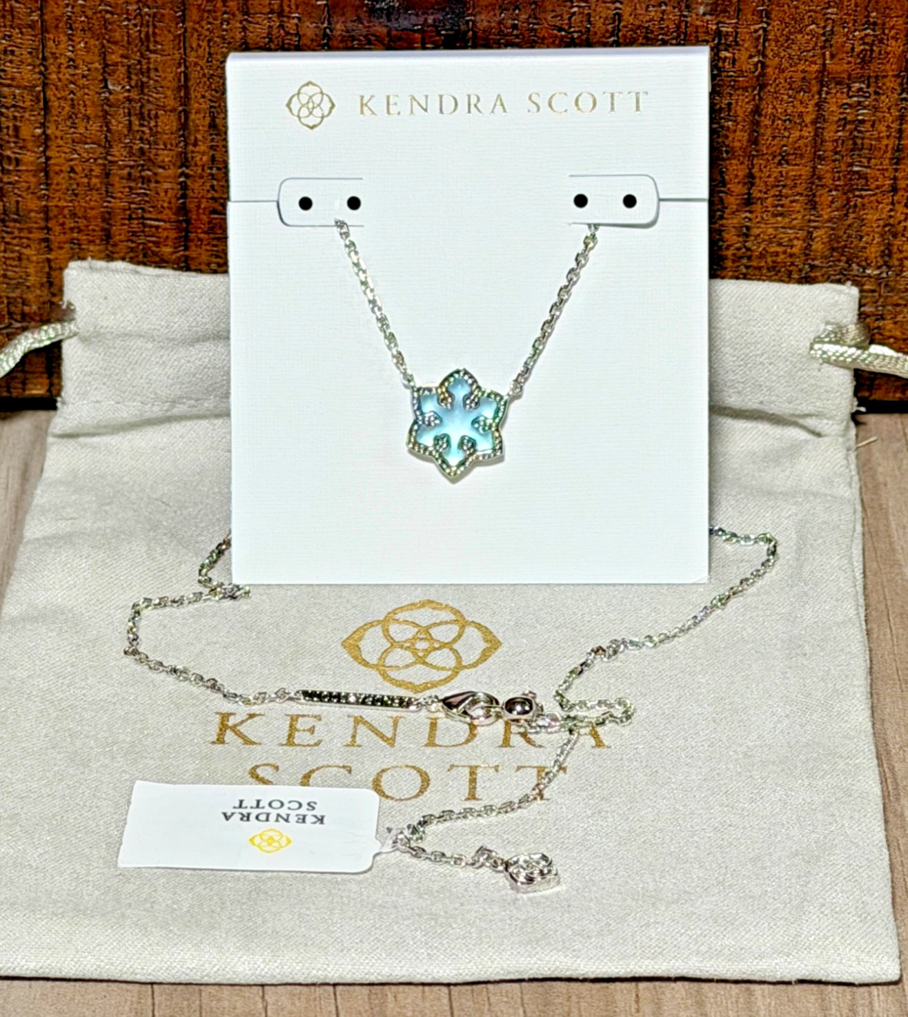 NEW ~ Kendra Scott Snowflake Silver Pendant Necklace, NWT