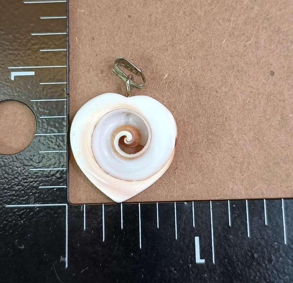 Natural Seashell Heart Shaped Nautilus Style Spiral Pendant Brass Tone Clasp