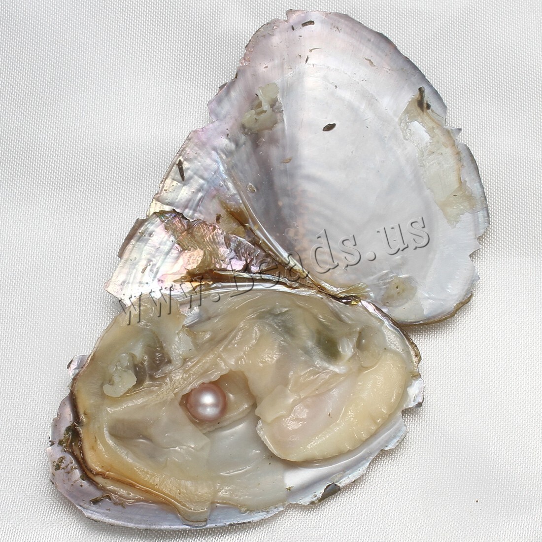 10PCS 7-8mm Natural Pearl Akoya Oysters Individually Wrapped w/ Cultured Bulk