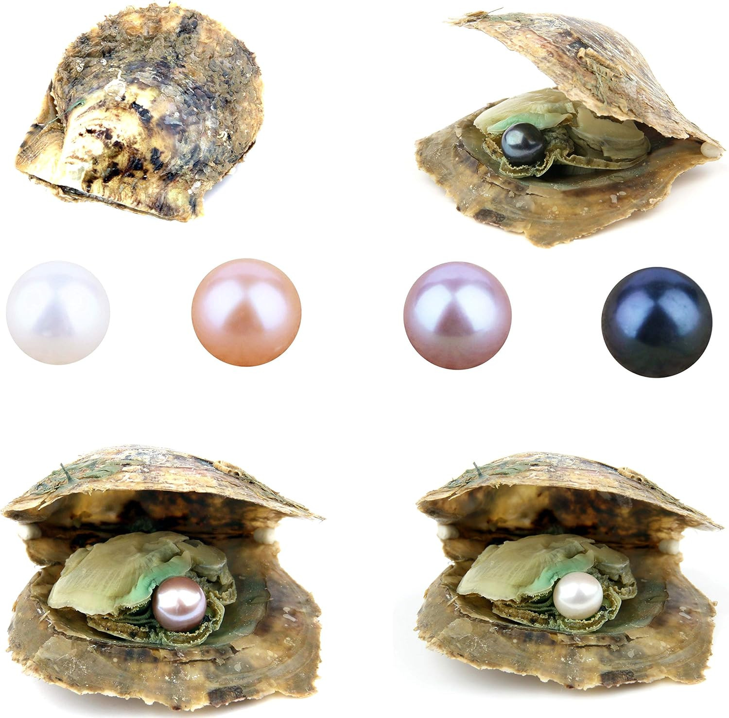 4PCS Saltwater Akoya Cultured Pearl Oyster with round Pearl (6.5-7.5Mm) inside
