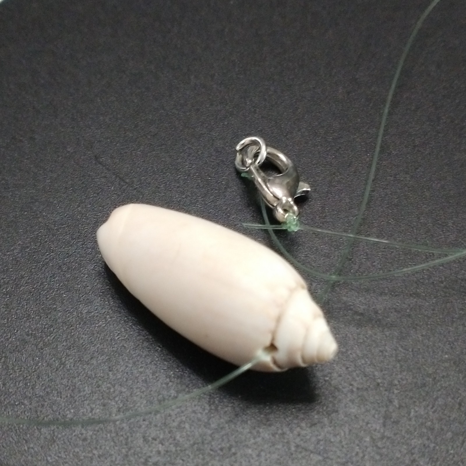White Natural Shell Charm Pendant Necklace Clear Cord Lobster Clasp Beach