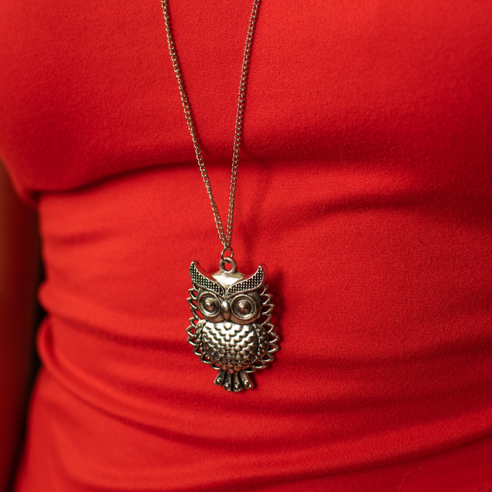 Cute Owl Necklace Silver Color Pendant – Silver Chain, Barn, Barred, Snow Owl