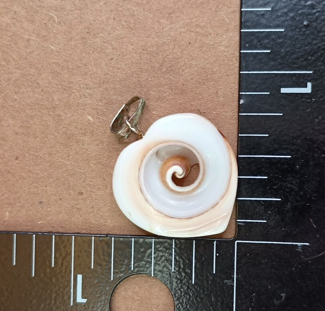 Natural Seashell Heart Shaped Nautilus Style Spiral Pendant Brass Tone Clasp