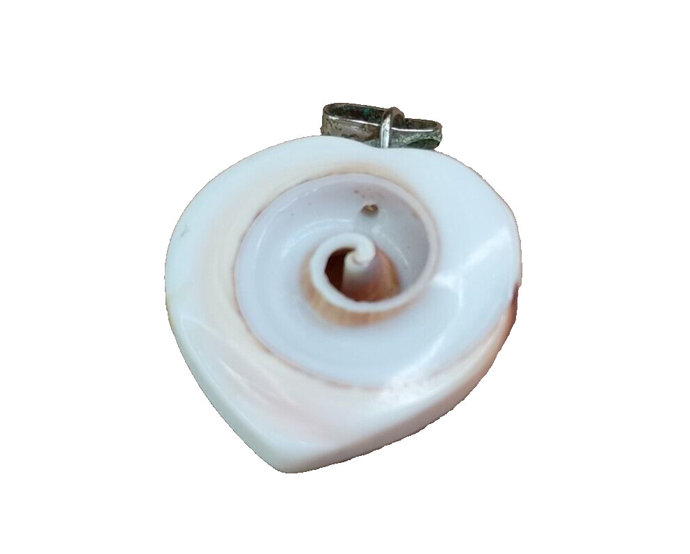Natural Seashell Heart Shaped Nautilus Style Spiral Pendant Brass Tone Clasp