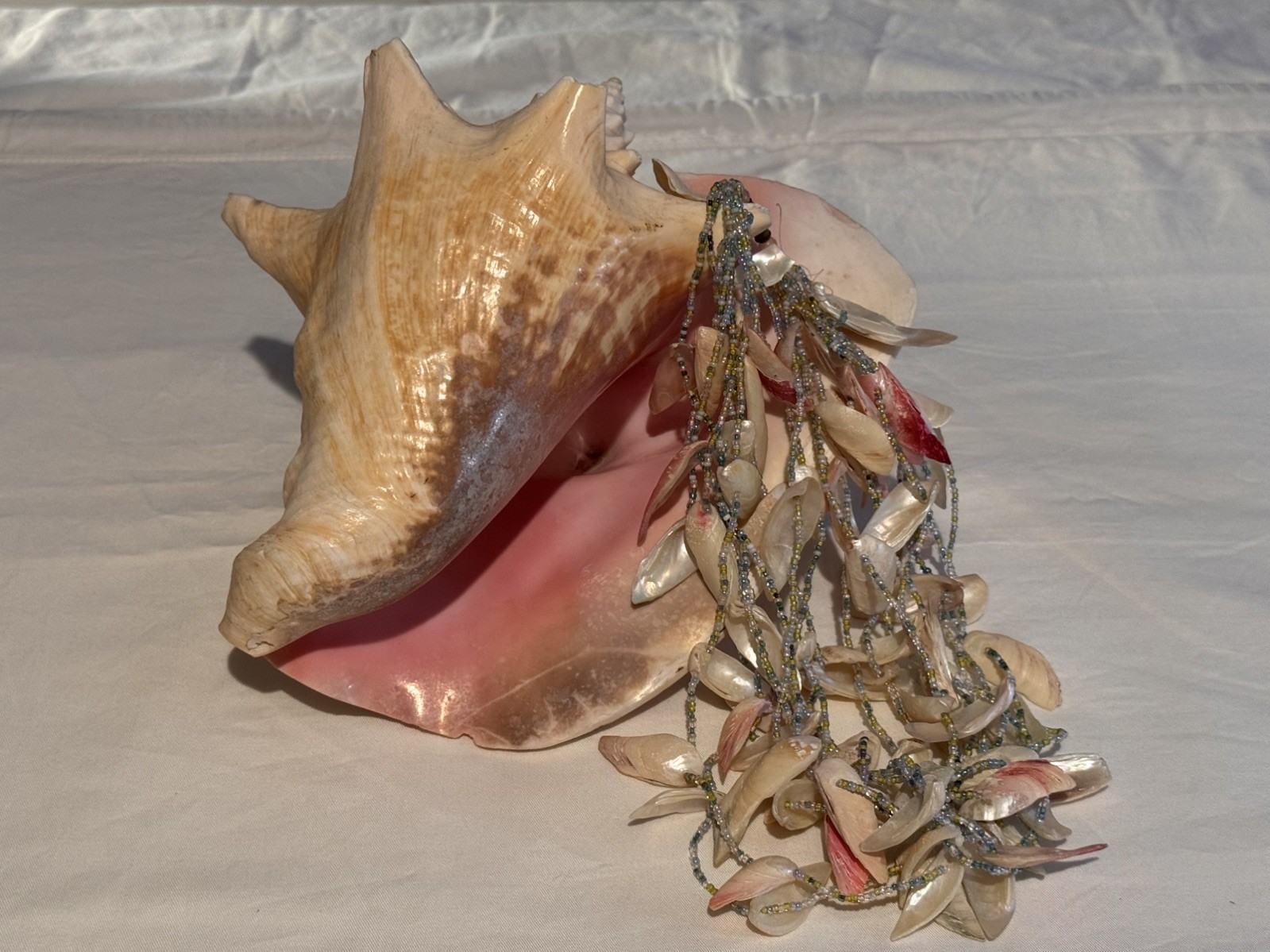 Vintage 9″ Sea Shell Statement Collar Necklace Colorful Beach Boho Chic Style
