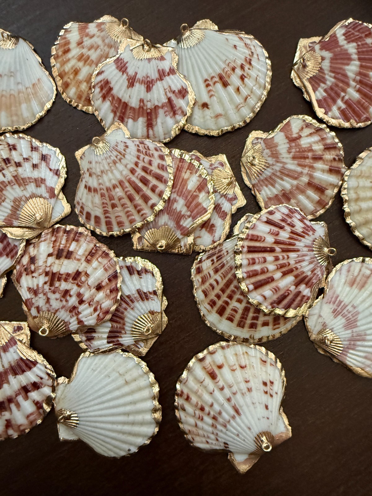 3PC Natural Scallop Shell Pendant, Gold Edge, Deep Sea Shell, Shell Necklace