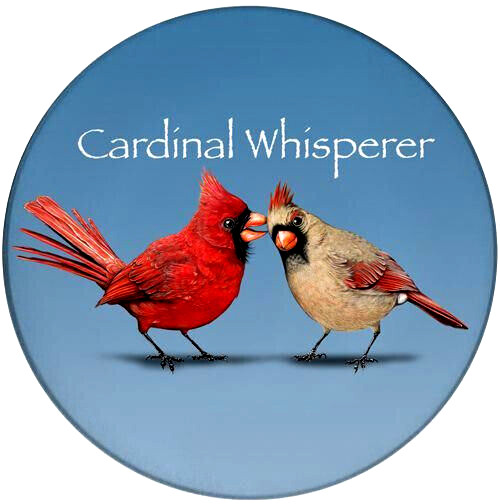 MALE FEMALE CARDINAL BIRD WORDS Large Pendant Charm GERMAN Silver 20″ Necklace