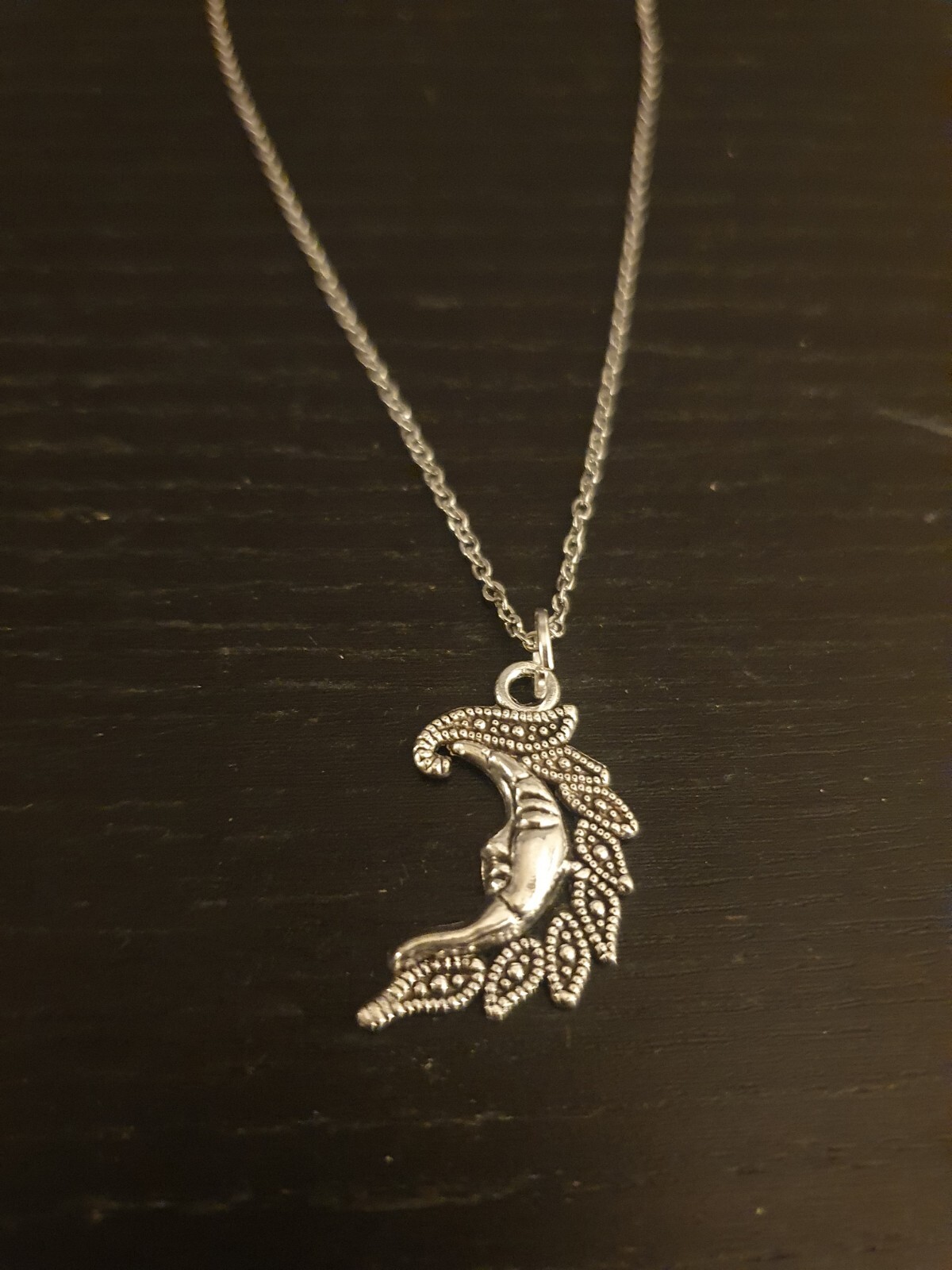 Silver Half Moon Pendant and Necklace! FREE SHIPPING IN USA!