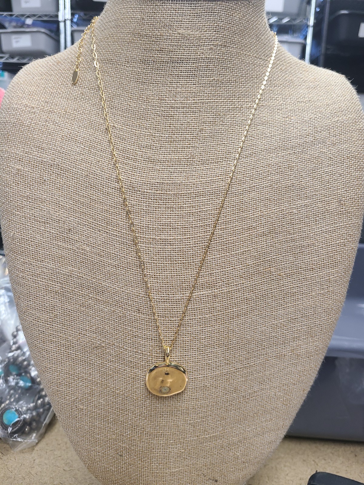 Anthropologie Goldtone Long Coin Necklace