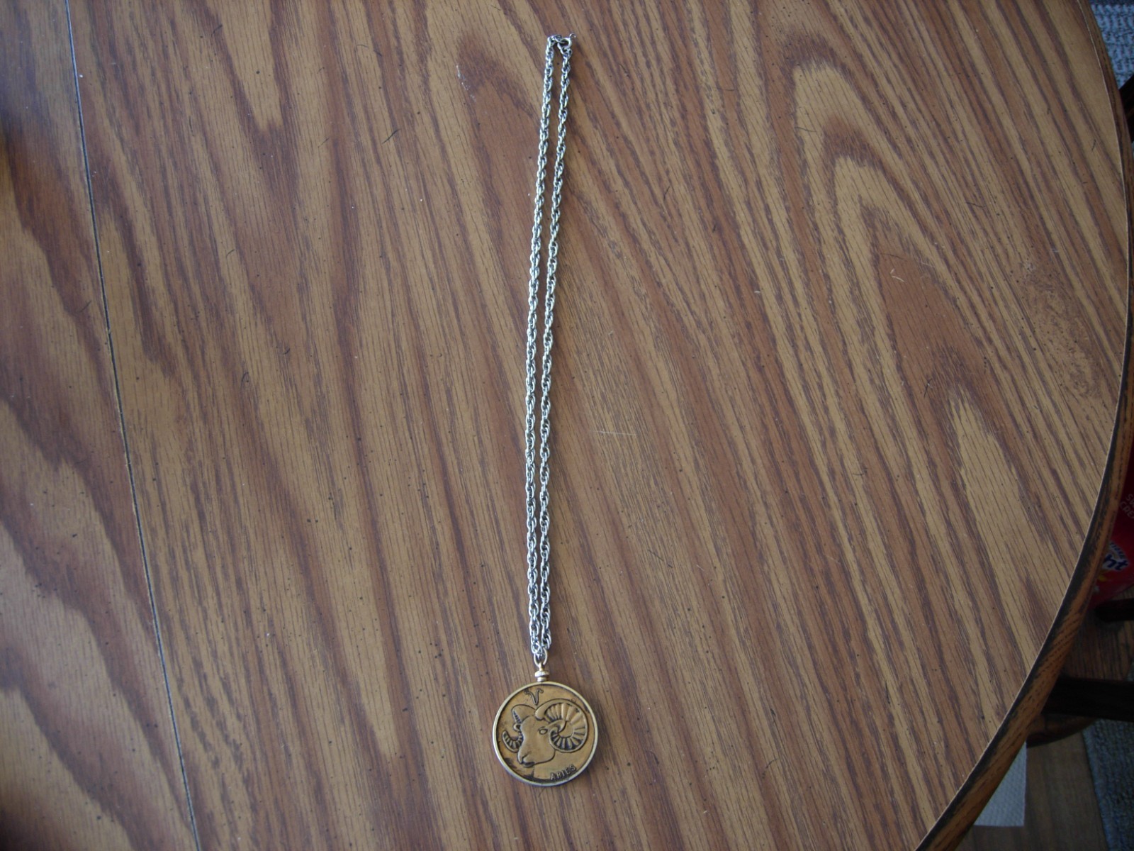 Undated Astrological ‘ARIES’ Pendant w/Steel Rope 24″ Chain Preowned Condition!!