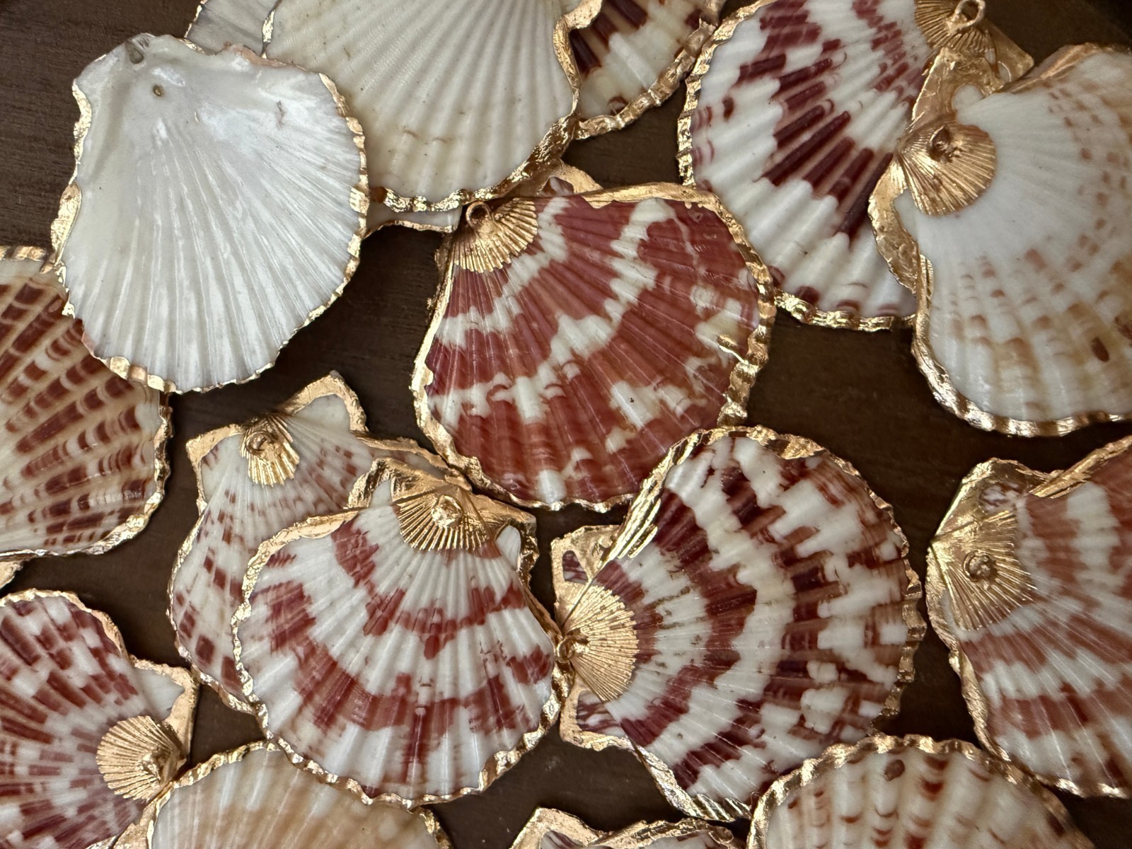 3PC Natural Scallop Shell Pendant, Gold Edge, Deep Sea Shell, Shell Necklace