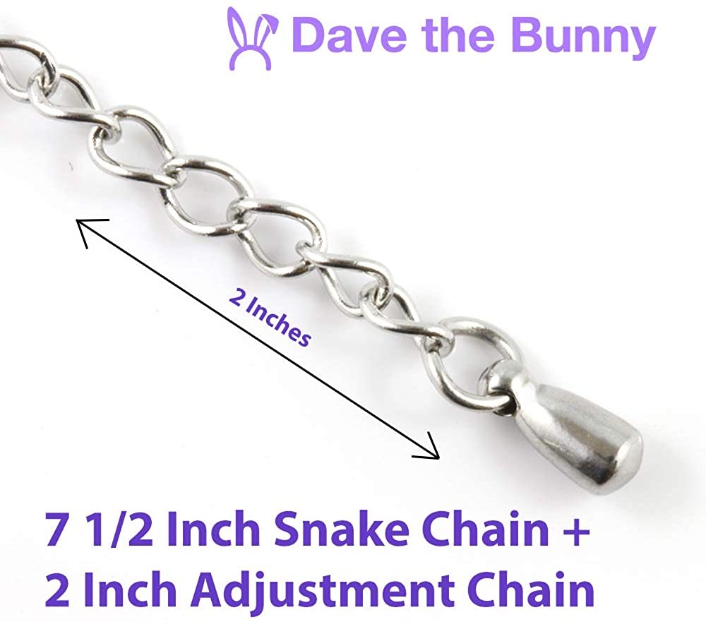 Coast Guard Bracelet | 1790 Stainless Steel Snake Chain