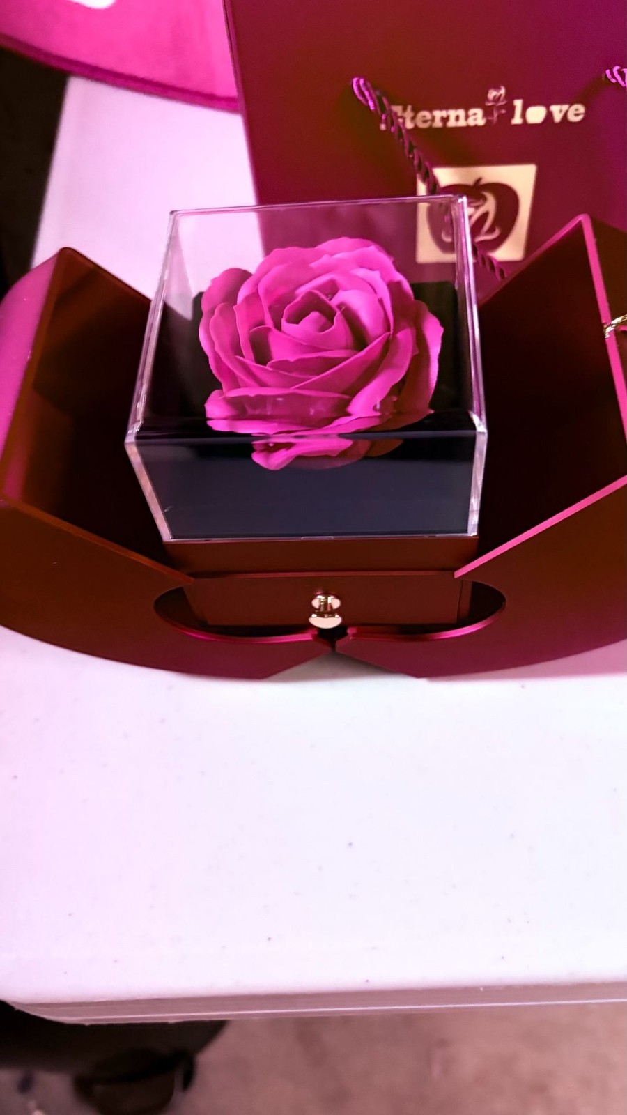 Eterna LOVE Apple Preserved Rose Gift Box & Necklace For Women For Any Holiday