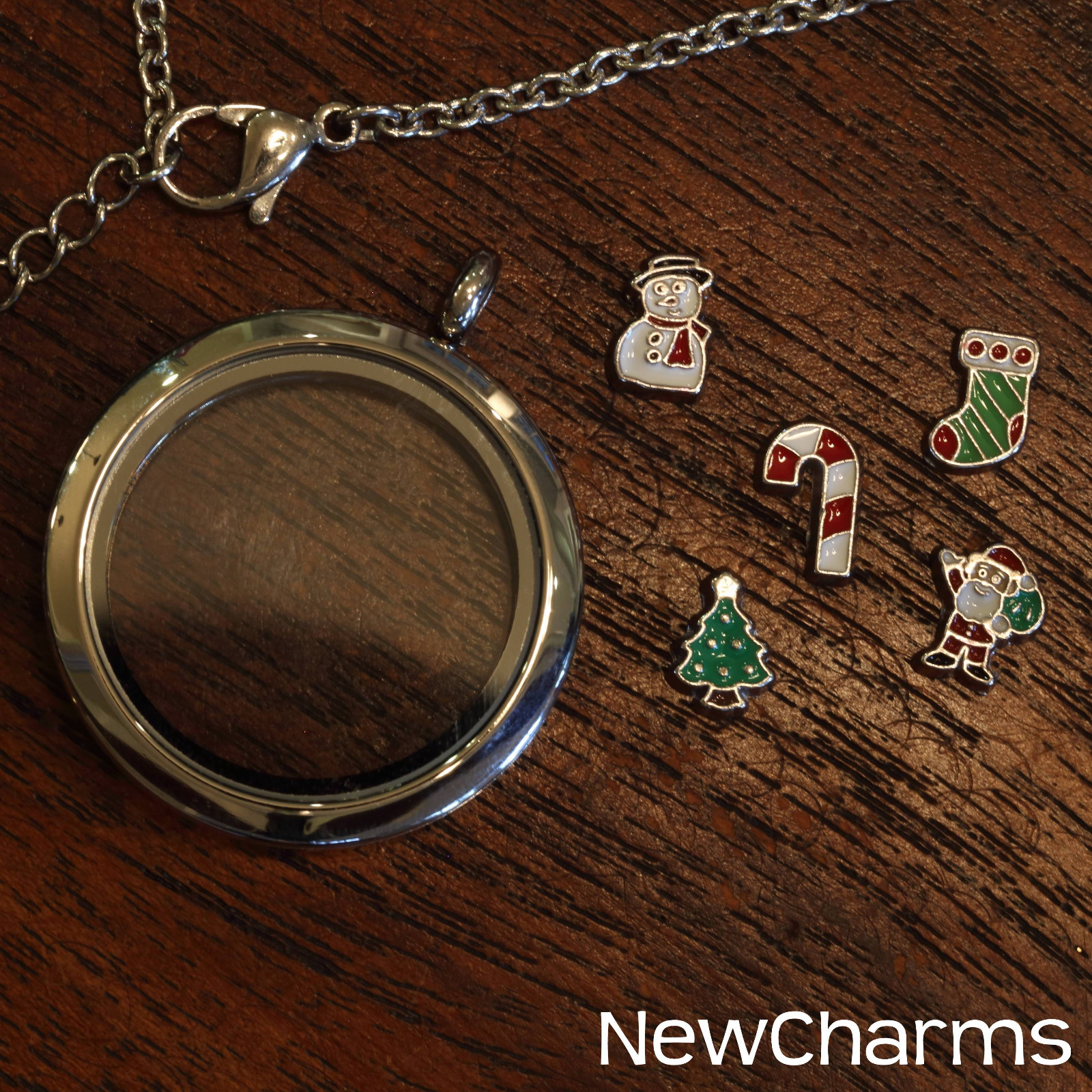 Holiday Floating Living Locket, Necklace & 5 Living Locket Charms Christmas Gift