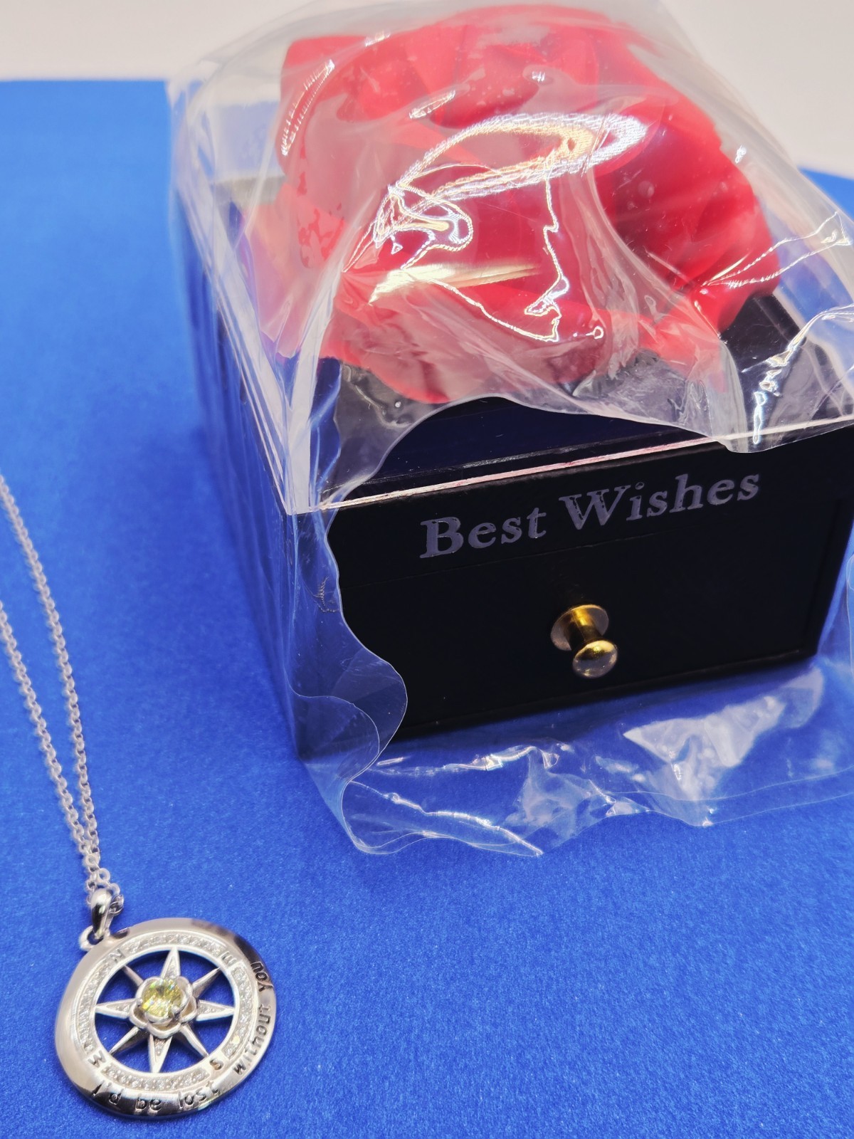 S925 Sterling Silver Compass Necklace – “I’d Be Lost Without You” – August Birth