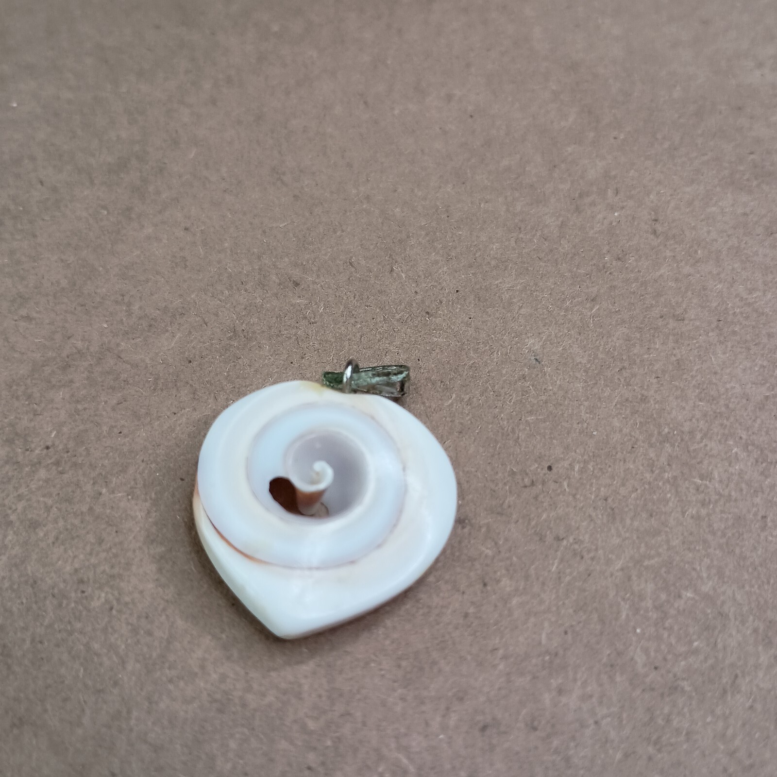 Natural Seashell Heart Shaped Nautilus Style Spiral Pendant Brass Tone Clasp