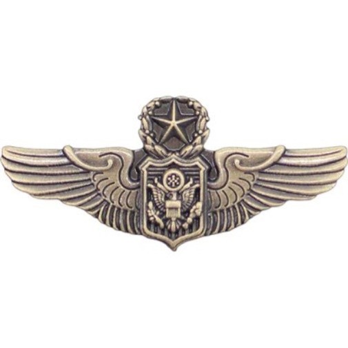 UNITED STATES AIR FORCE Master Air Wing Lapel Pin