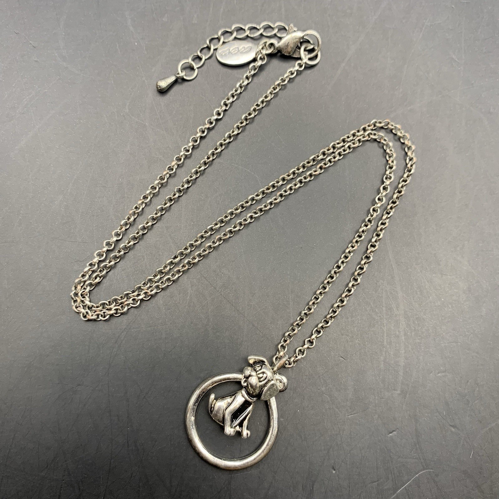 American Eagle Outfitters Pendant Necklace Dog Charm Holder Silver Tone AEO