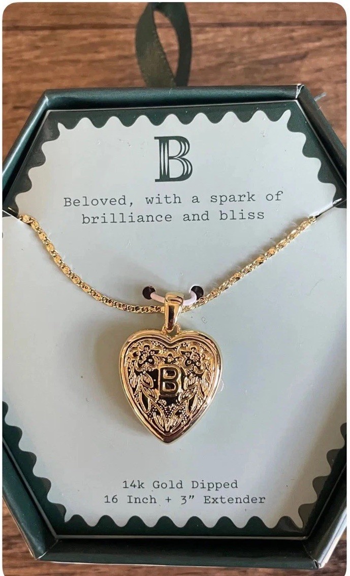 A New Day 14K Gold Dipped Heart Charm Initial Necklace B
