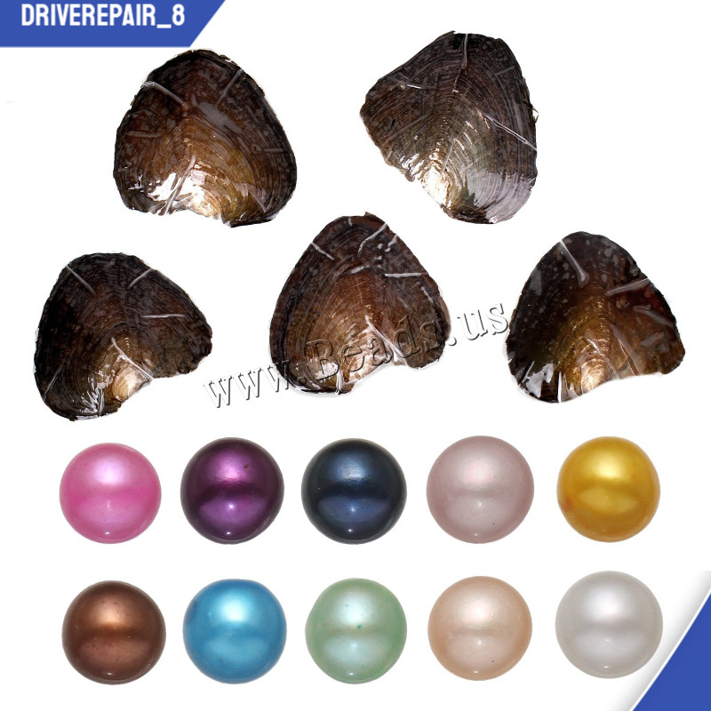 10PCS Natural Akoya Pearl Oysters Real Pearl Freshwater Pearl 7-8mm Holiday Gift