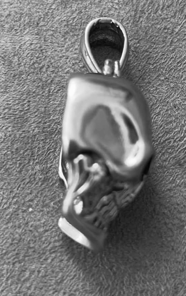 Skull Pendant Stainless Steel Men’s Necklace