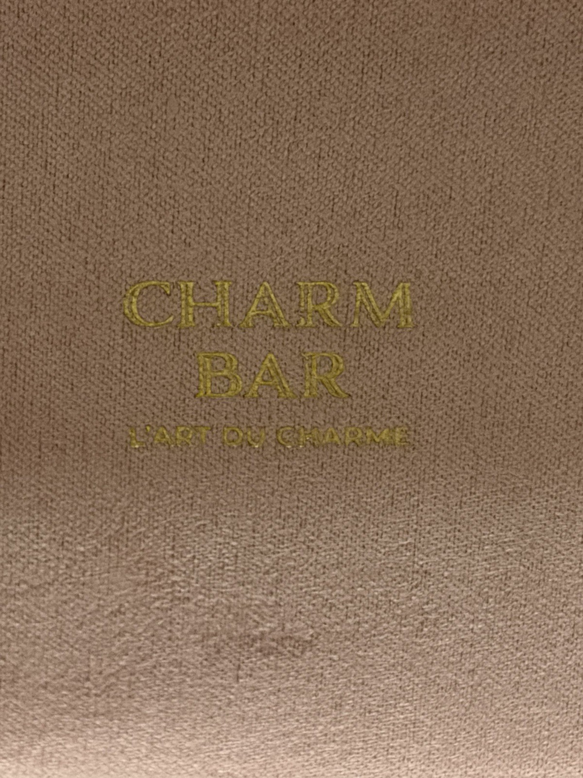 Dog lover Charm Bar 14k Gold Plated CZ Charm Necklace Adjustable 18-20″ Slide
