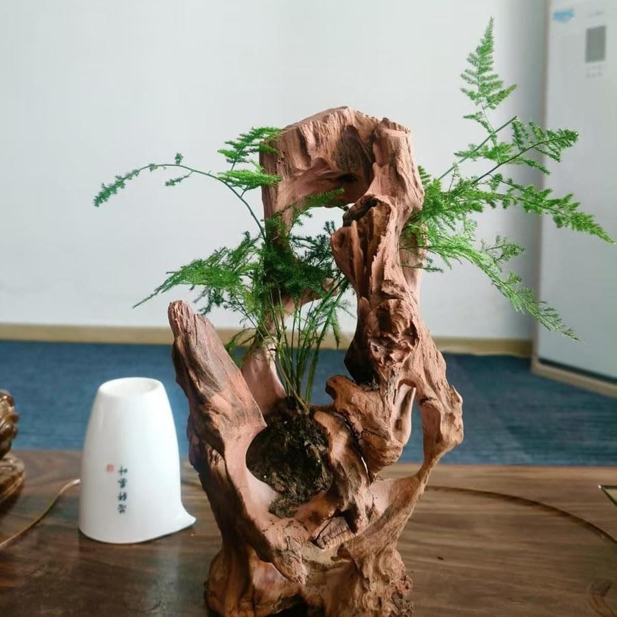 Natural Wood Aquarium Cave Betta Fish Hideout for 7.1-9.8 Inch, multi-hole