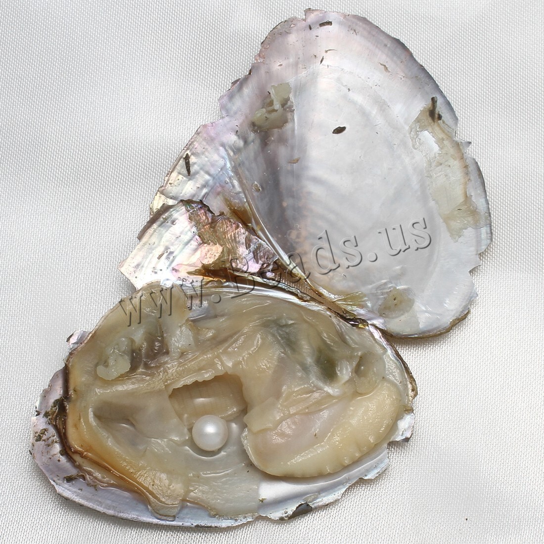 10PCS 7-8mm Natural Pearl Akoya Oysters Individually Wrapped w/ Cultured Bulk