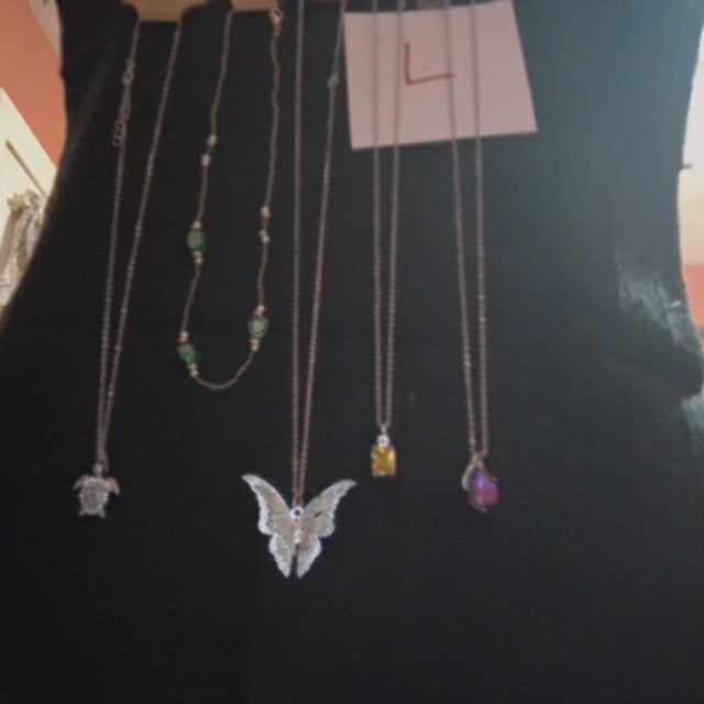 5 NECKLACES AT A GREAT PRICE $13.95