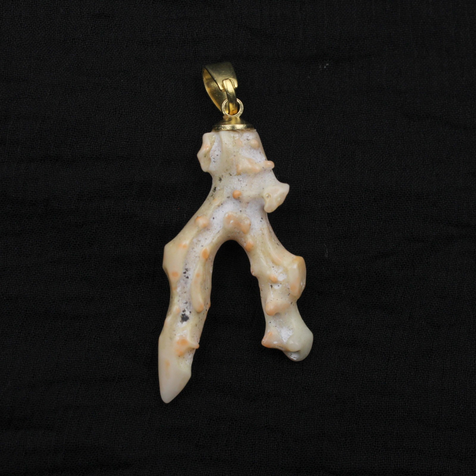 Japanese White Coral Branch Stick Polished Rough Natural Stick Pendant Necklaces