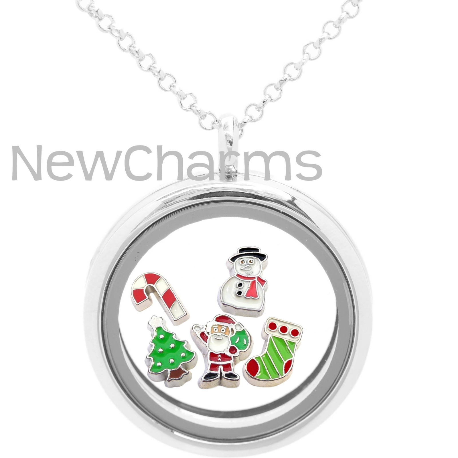 Holiday Floating Living Locket, Necklace & 5 Living Locket Charms Christmas Gift